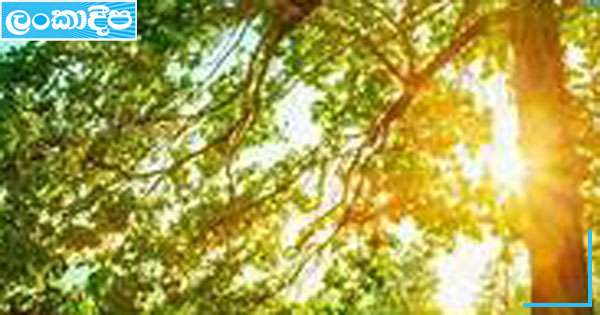 අද වියළි කාලගුණයක්