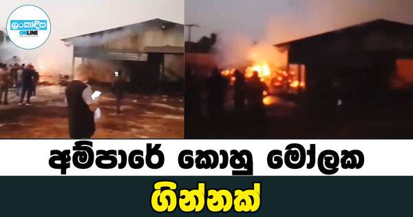 අම්පාරේ කොහුබත් කර්මාන්ත ශාලාවක ගින්නක්