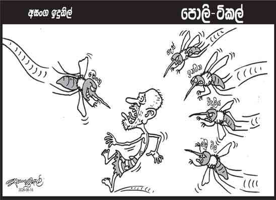 පොලි ටිකල් 16-06-2026