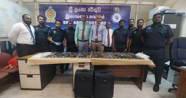තිස්හය කෝටියක හෂීෂ් සමග සරසවි සිසුවියක් මාට්ටු