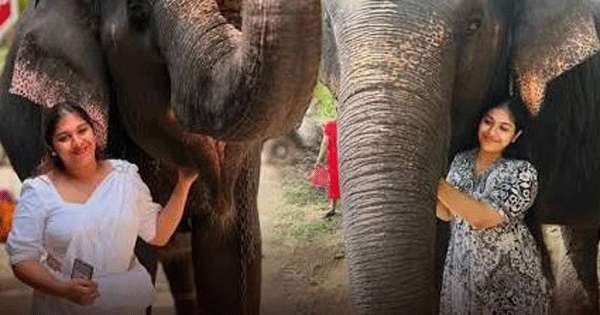 සුදු මැණිකේ මහනුවර සම්බන්ධීකරණයටත් යයි