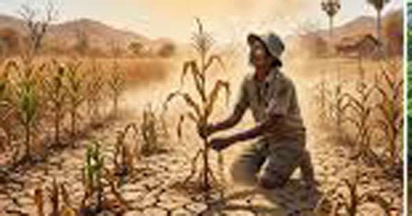 එල් නිනෝවෙන් කෑම වේලටත් බලපෑමක්