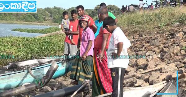 මැදිරිගිරියේ තොටුපොළක ගාල් කර තිබූ ඔරු 6කට ගිනි තියලා