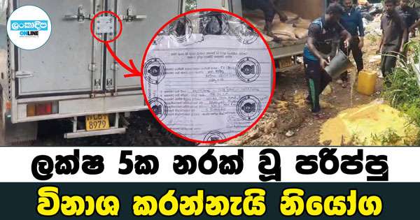 ලක්ෂ 5ක නරක් වූ පරිප්පු විනාශ කරන්නැයි නියෝග