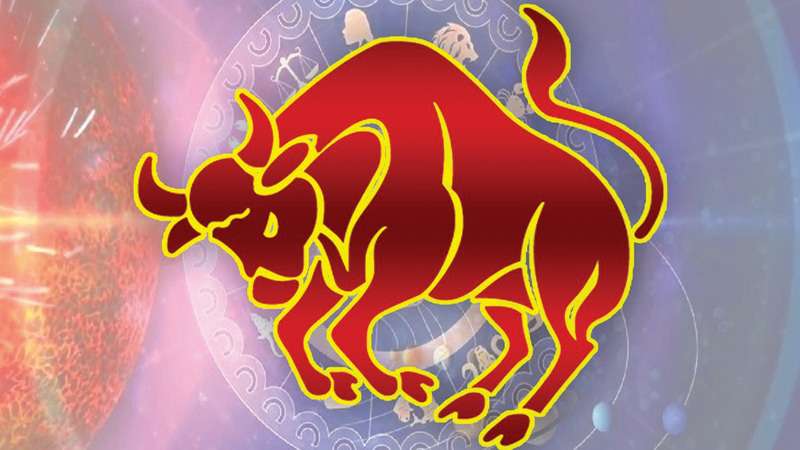2026 වෘෂභ ලග්නය හිමි ඔබට කොහොමද
