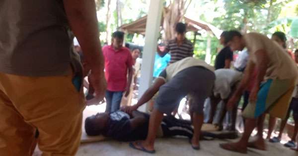 කුරුණෑගලට වල් අලි පනිති