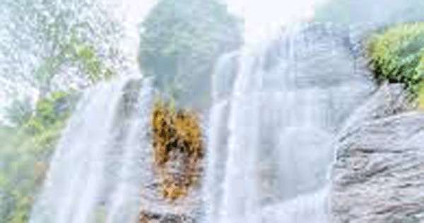 ජෝඩු ඇල්ලේ සෙල්ෆි ගන්න ගිය සිසුහු දෙනෙක් පහළට වැටී මරුට