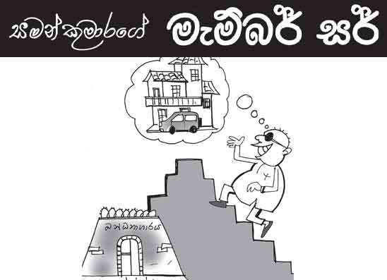 මැම්බර් සර් 15-09-2026