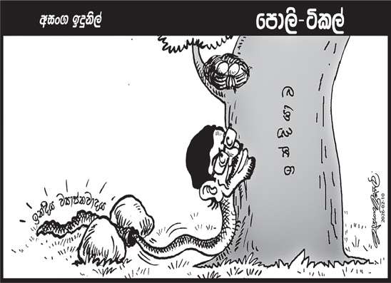 පොලි ටිකල් 10-02-2026