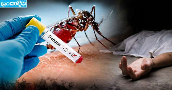 ඩෙංගු 68ක් බිලිගනියි
