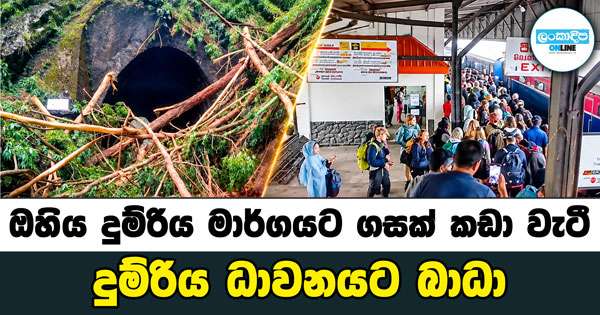 ඔහිය දුම්රිය මාර්ගයට ගසක් කඩා වැටී දුම්රිය ධාවනයට බාධා