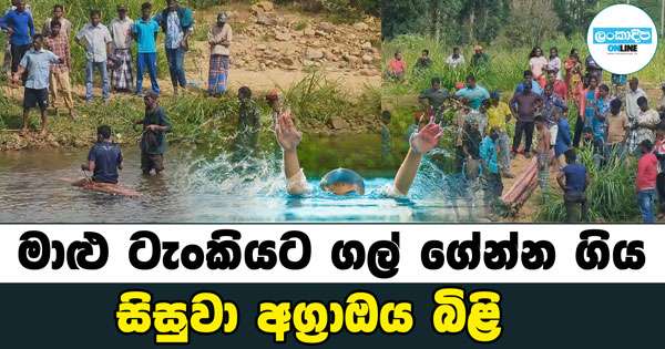 මාළු ටැංකියට ගල් එකතු කරන්න ගිය සිසුවා අග්‍රාඔයේ සැඟ වේ