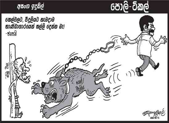 පොලි ටිකල් 15-05-2026