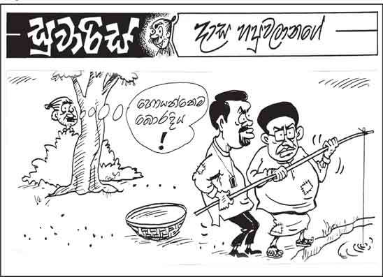 සුවාරිස් 16-10-2026