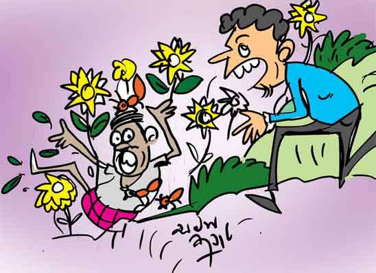 දිමි “කෙම’’ අවුල් වී බැටකාලා