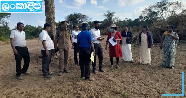 නිතලව වන රක්ෂිතය වනසයි