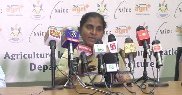 ’’පොහොර හිඟයක් නෑ’’