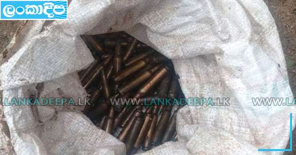 පානම නිවෙසකින් ජීව උණඩ  118 ක් හමුවෙයි