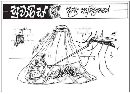 සුවාරිස් 26-06-2026