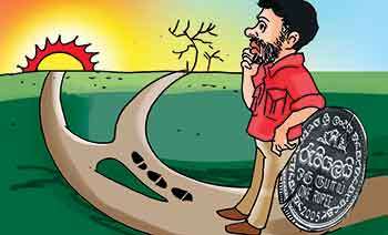 ජවිපෙට යටවූ මාලිමාවට උතුර දකුණ මාරුවෙයිද?