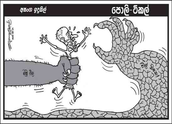 පොලි ටිකල් 24-08-2026