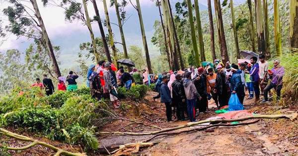 සුළඟ තිදරුපියා බිල්ලට ගනී