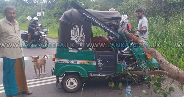 අත්තක් ත්‍රිවීලයට වැටී රියදුරු රෝහල‍ේ