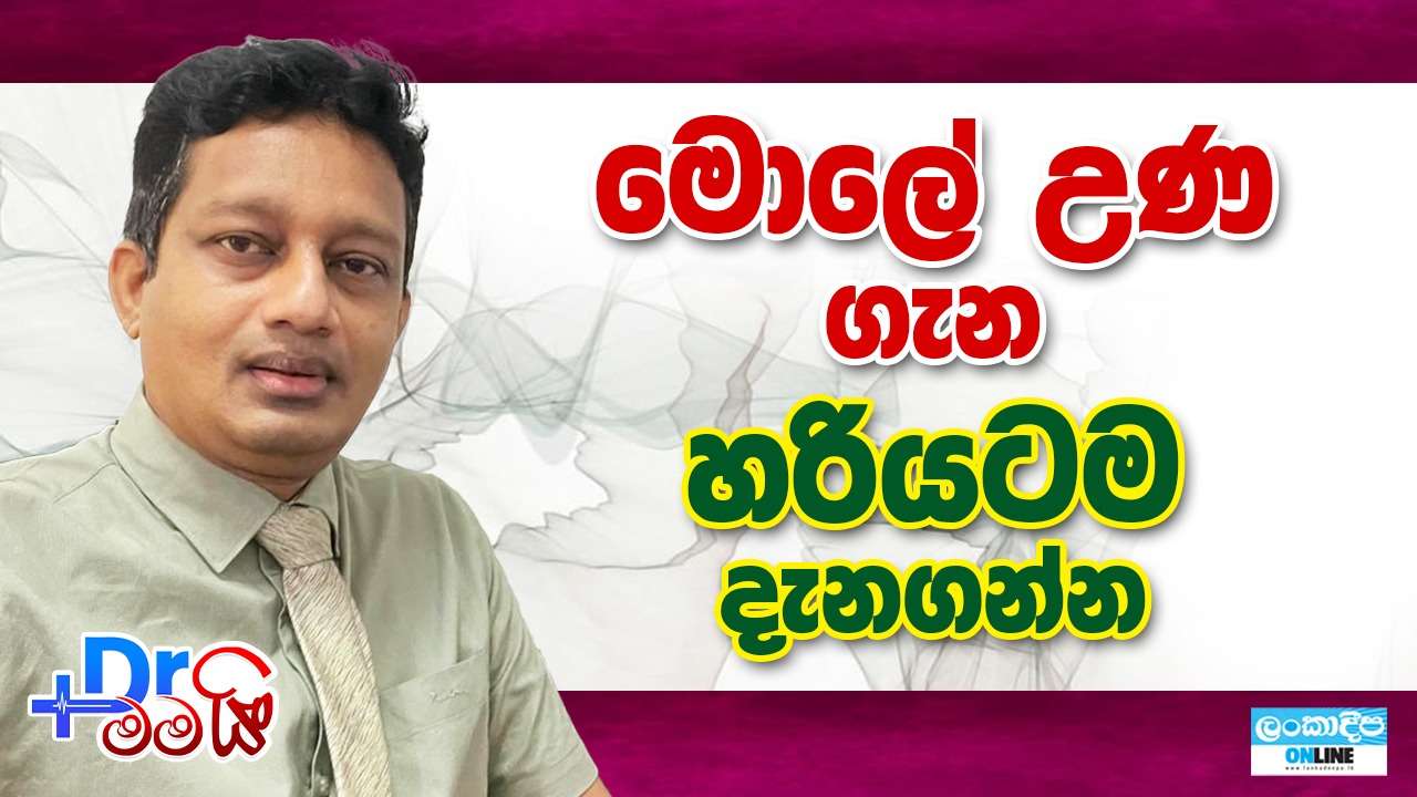 මොලේ උණ  ගැන  හරියටම  දැනගන්න