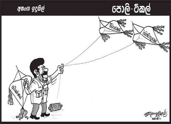 පොලි ටිකල් 11-08-2026