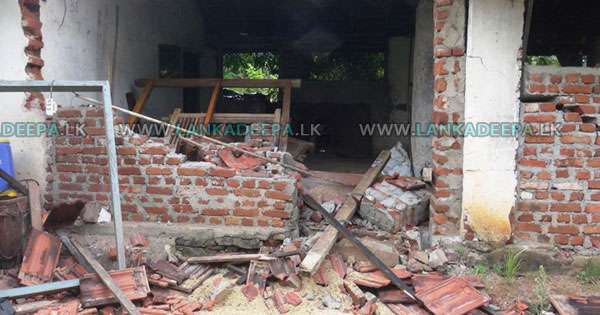 අලි කළ අලි විනාශය