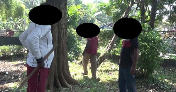 අලිවැට නිලධාරිනගේ අමුතු සේවයක්