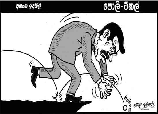 පොලි ටිකල් 20-05-2026