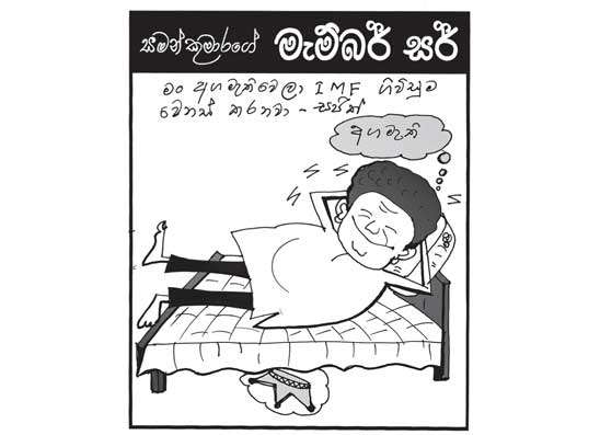 මැම්බර් සර් 29-10-2024