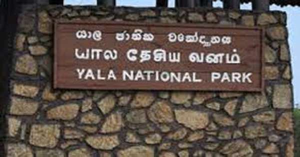 යාල වනොද්‍යානයේ වෙඩි තැබීමක්