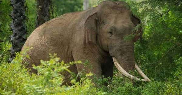 ‘‘පරිසර සංවිධානය කියන පලියට විත්තිකරුවන්ට දඬුවම් දෙන්න බෑ‘‘