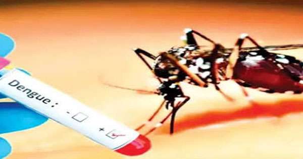 කොළඹ පීඑච් අයිලා 08කටත් ඩෙංගු