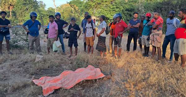 වල්අලි ප්‍රහාරයෙන් තිදරු පියා මරුට