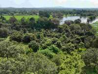තුම්බිකුලම වන රක්ෂිතයේ ඉඩම් බදු දීමට සැරසෙයි