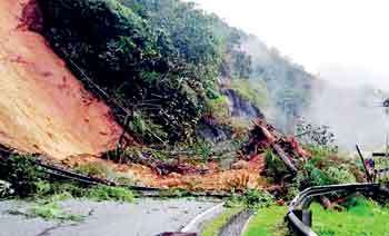 දත්ත තිබුණත් තීන්දුගන්න ප්‍රමාදයි