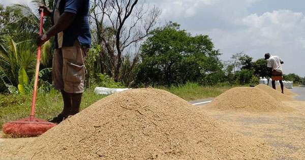 පාරෙ වී වේලනවාට ආණ්ඩුවෙන් විසඳුමක්