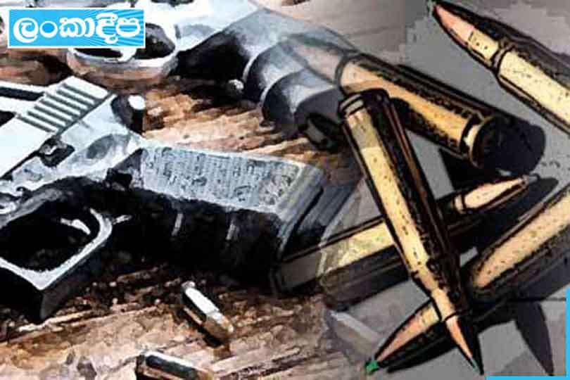 පීසී සතුව තිබූ පතුරොම් ගැබ ජීව උණ්ඩ සමඟ නැතිවෙලා