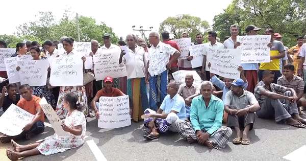 අලි ගැටලුවට විසැඳුම් ඉල්ලා අත්තනකඩවල විරෝධයක්