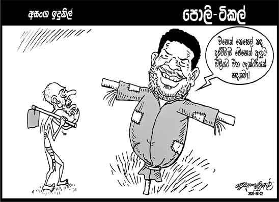 පොලි ටිකල් 22-06-2026