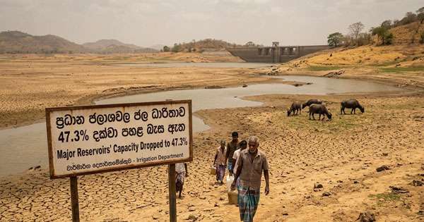 වියළි කාලගුණයෙන් ජලාශ සිඳෙයි: ධාරිතාව 47% දක්වා පහතට