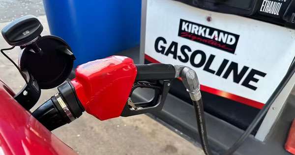 රුසියාව ඉන්ධන අපනයනය නවතයි