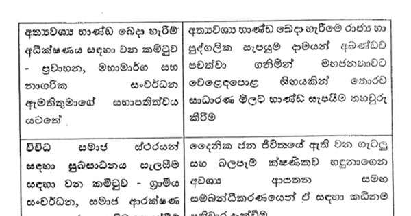 ආර්ථික වැඩ හරියට කරන්න කමිටු හතරක්