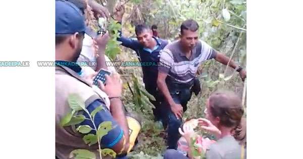 සිංගිමලේ රක්ෂිතයේ අතරමං වූ විදෙස් තරුණිය සොයාගනී