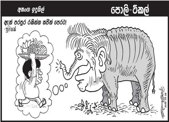 පොලි ටිකල් 28-10-2026