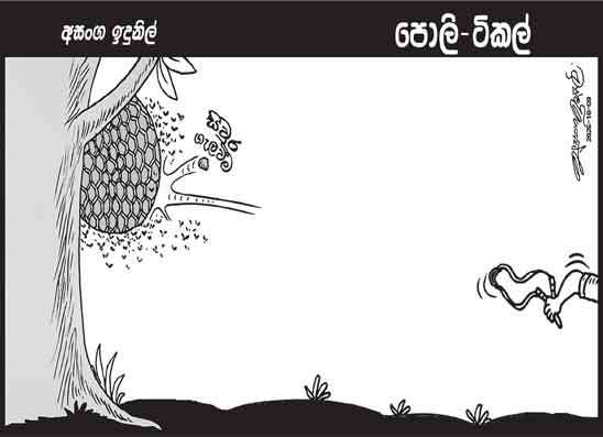 පොලි ටිකල් 09-10-2026
