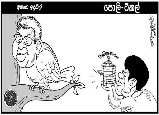 පොලි ටිකල් 13-07-2026